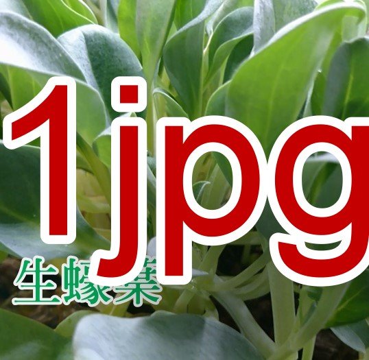 產品圖
